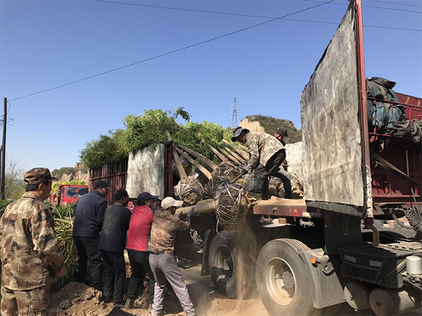 0b2658f847604b2eaaa67a907583a382.png 10.png