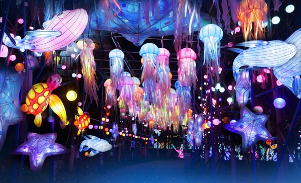 3245df6dfbda40528d20571d7666e234.jpg 水母_proc.jpg