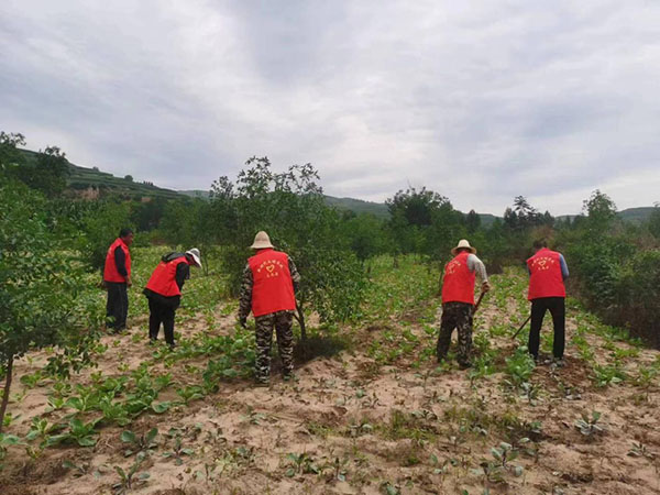 59011df9d40d43d384931fc1bd747907.jpg 6.jpg