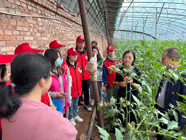 9b01353d3aa14c79a17217b8cc4ff0fe.jpg 1.jpg