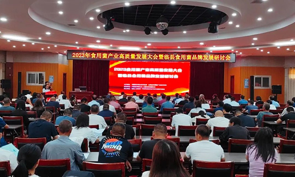 f74f2faf37254ff18ae05e1ed39d466a.jpg 1.jpg