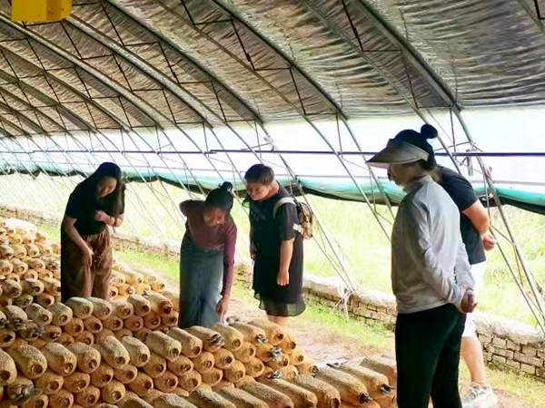 8b6b01ea5d714e11a082396d3da8a6a2.jpg 微信图片_20230727125043.jpg