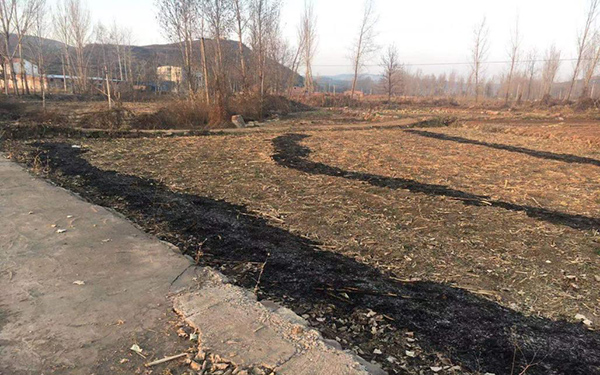 8e560d029397459f9293275b84a15ff4.jpg 图片2.jpg