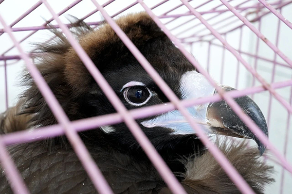 84c9543cd67f4d4b9752f1717fa27f2f.jpg 微信图片_20240409135323.jpg