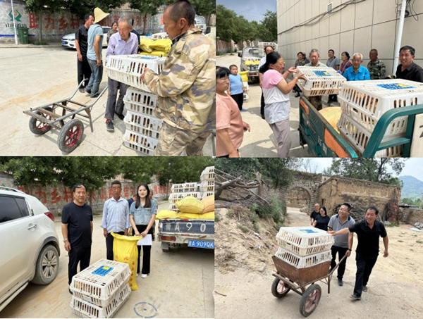 e0bb37981a5d4d459d7060893fa1a8cb.jpg 微信截图_20240708104540.jpg