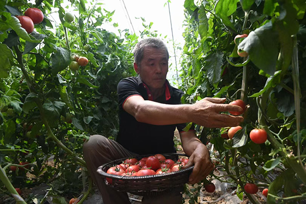 571389adc6ec462994444fd31bf60d09.jpg 微信图片_20240826155826.jpg