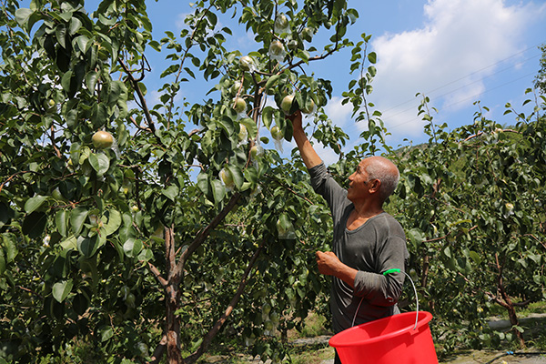 8436fa23503347cd92ce2a66dec6d1ba.jpg 微信图片_20240829163636.jpg