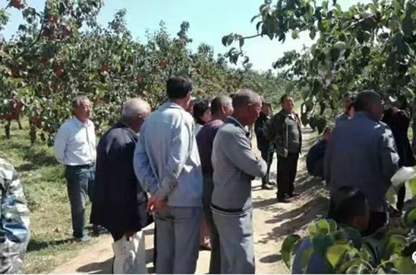 8b14cd2e26b94926b09ad8838fd3054b.jpg 图片15.jpg