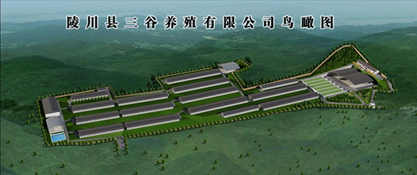 0215f3796783466290a48f25b477e427.jpg 图片1.jpg