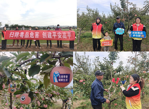 fb7d3714ab6c402a8a7ee931f5107115.jpg 微信截图_20241014153105.jpg