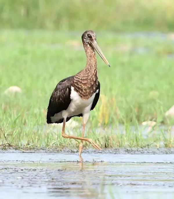 83ebc312a88c4803862d4dcd323ec016.jpg 微信截图_20241105093056.jpg