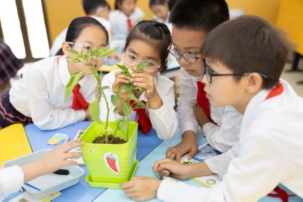 640 (1).jpg