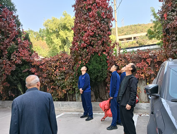 图片1.png